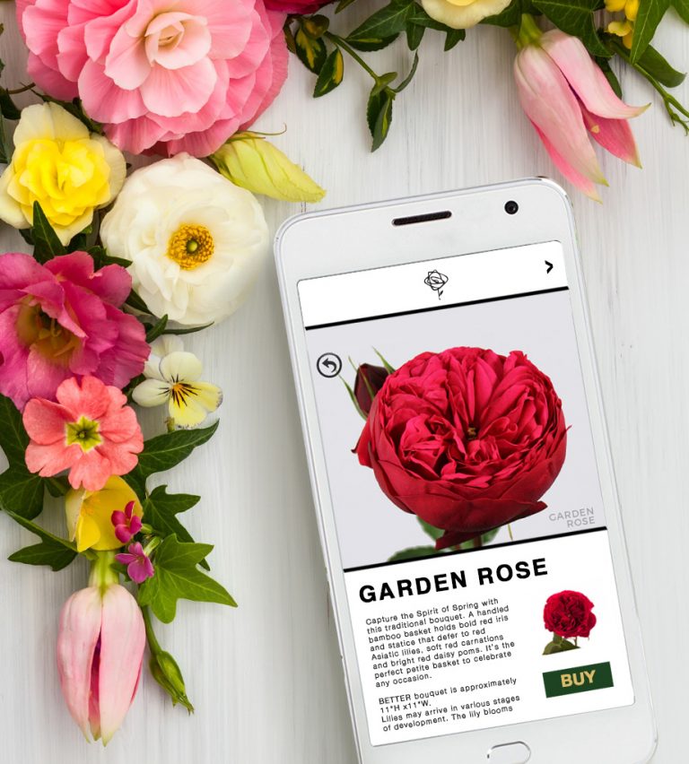 Buy Direct Flower Wholesale in Singapore DWF Group