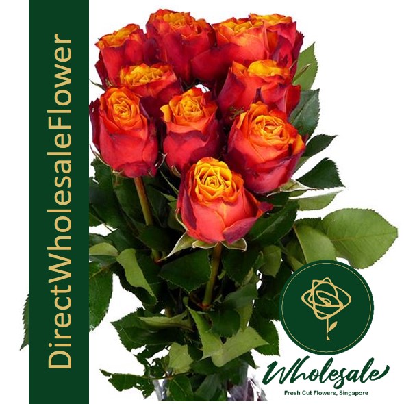 Buy Wholesale China Wholesale And Retails Oem High Quality Rose