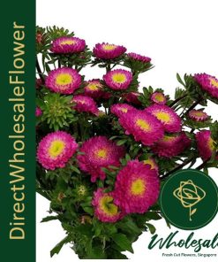 ASTER