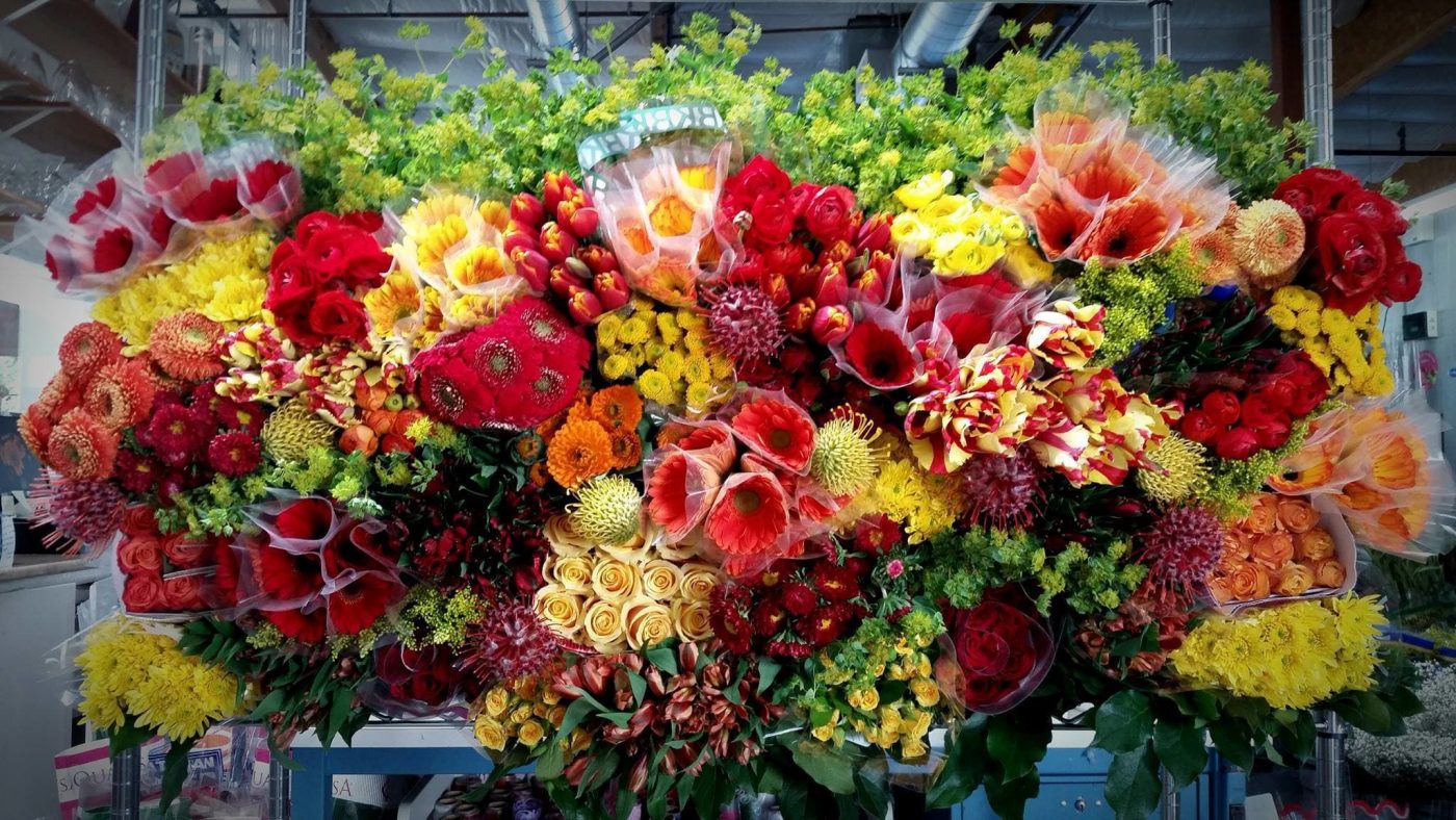 Walk in Cash and Carry Flowers Promotion Direct Wholesale Flower