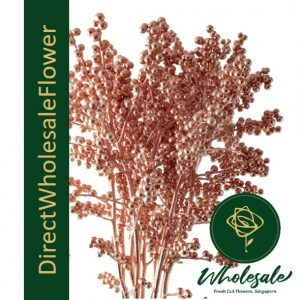 ilex berry painted copper
