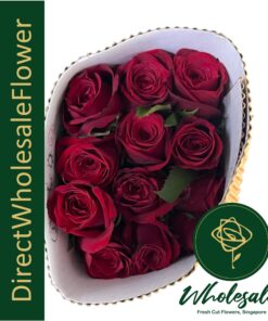 india rose red wholesale